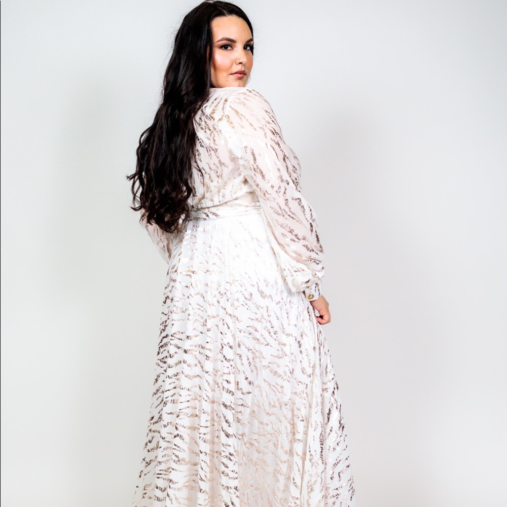 Plus Size ‘Isabella’ Chiffon Metallic Maxi Dress - Picture 6 of 6